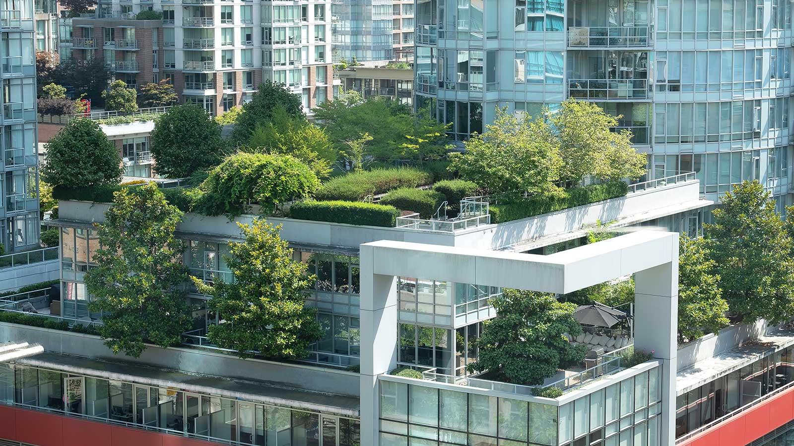 Trees and greenery on top of a city building representing 环境al-健康-Science program at Clarkson